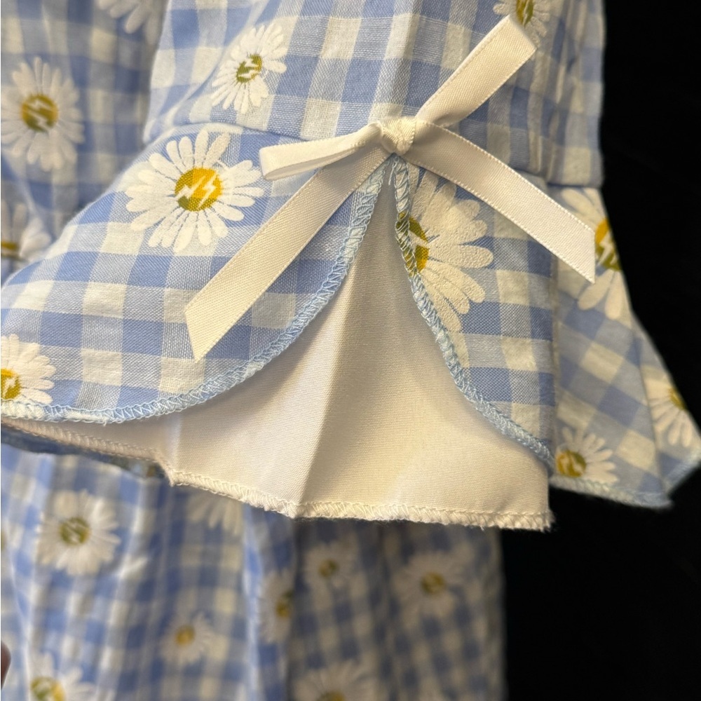 Blue & White Vintage Gingham Midi Dress with Daisy Print - Picture 5 of 8